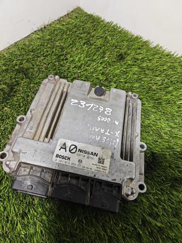 NISSAN 281013856 в наличии Сумы