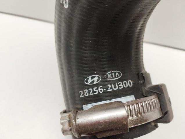 282562U300 HYUNDAI купить в Николаев