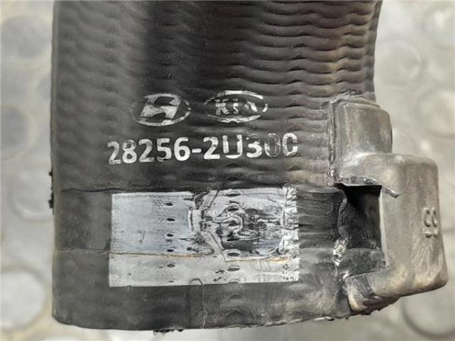 282562U300 купить Одесса