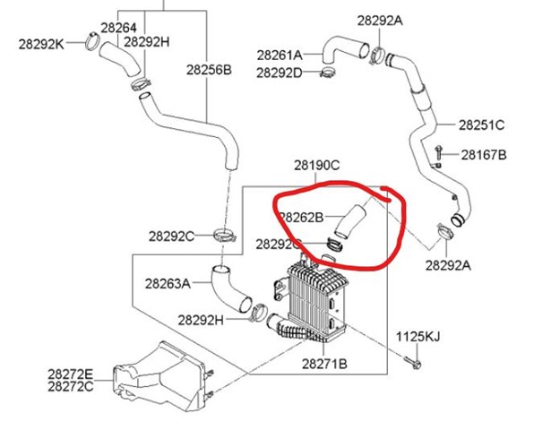 2826227251 HYUNDAI Патрубок интеркулера купить в Полтава