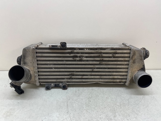 HYUNDAI 282702A62X Интеркулер в наличии Ужгород