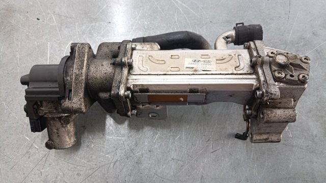 Válvula EGR de recirculação dos gases 284202A850 Hyundai/Kia