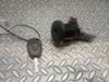 Antena (anel) de imobilizador 285916556R RENAULT