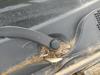 Trapézio de limpador pára-brisas 288004287R RENAULT