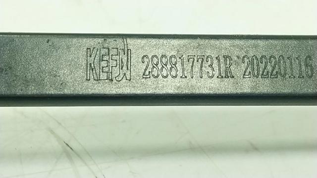 288817731R купить Чернигов