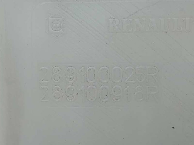 289100025R RENAULT купить в Украина