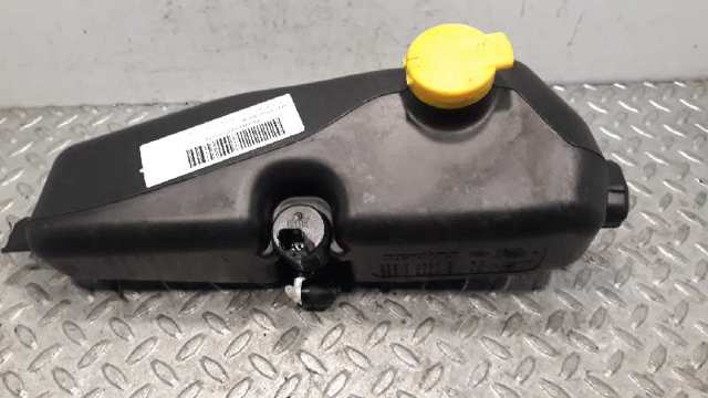 Tanque de fluido para lavador de vidro 289101168R Renault (RVI)