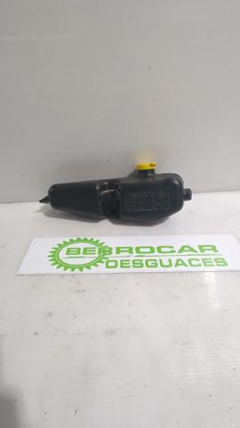 289101168R RENAULT Бачок омывателя купить в Хмельницкий
