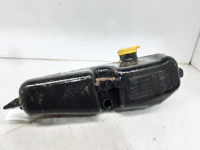 RENAULT 289102573R Бачок омывателя стекла в наличии Ирпень