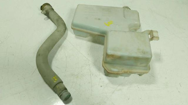 RENAULT 289105773R Бачок омывателя в наличии Черновцы