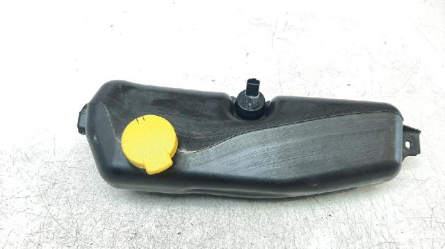 289107187R RENAULT купить в Одесса