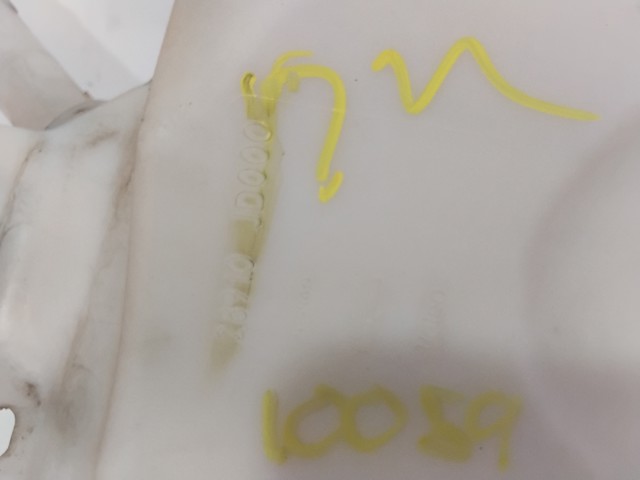 Tanque de fluido para lavador de vidro Nissan Qashqai 1 J10