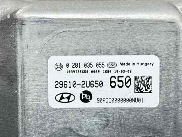HYUNDAI 296102U650 в наличии Днепр