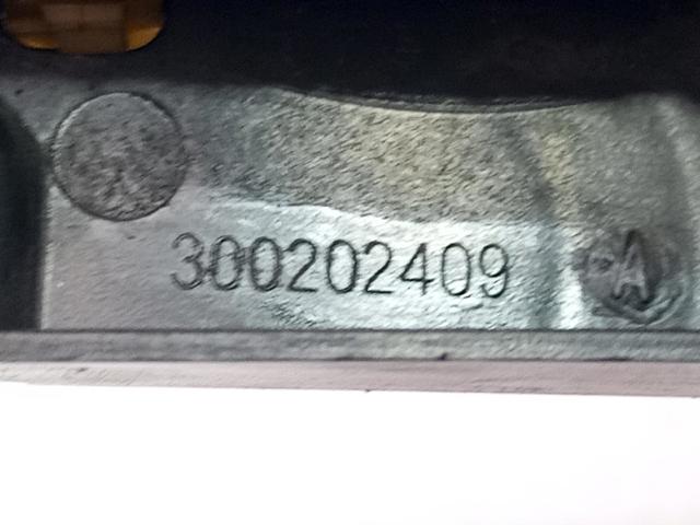300202409 RENAULT купить в Сумы
