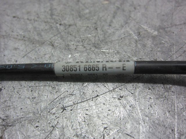 RENAULT 308516865R в наличии Житомир