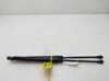Amortecedor de tampa de porta-malas (de 3ª/5ª porta traseira) 31276851 VOLVO