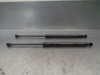 Amortecedor de tampa de porta-malas (de 3ª/5ª porta traseira) 31278322 VOLVO