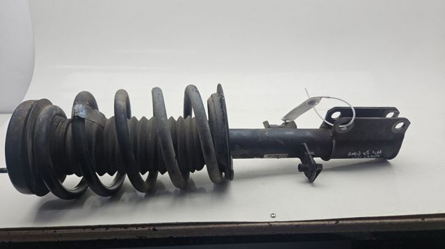 31316764602 BMW Амортизатор передний правый купить в Ужгород
