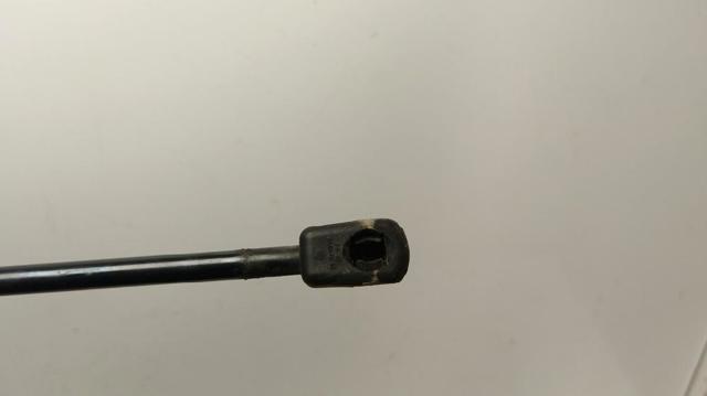 31424539 VOLVO Амортизатор капота купить в Тернополь