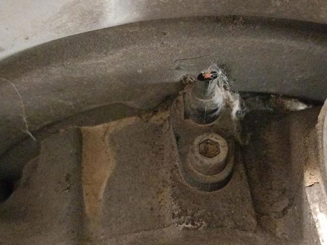 33326770924 BMW Цапфа (поворотный кулак) задний правый купить в Черкассы