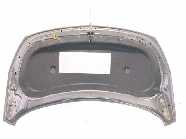 OPEL 39054067 Капот в наличии Житомир
