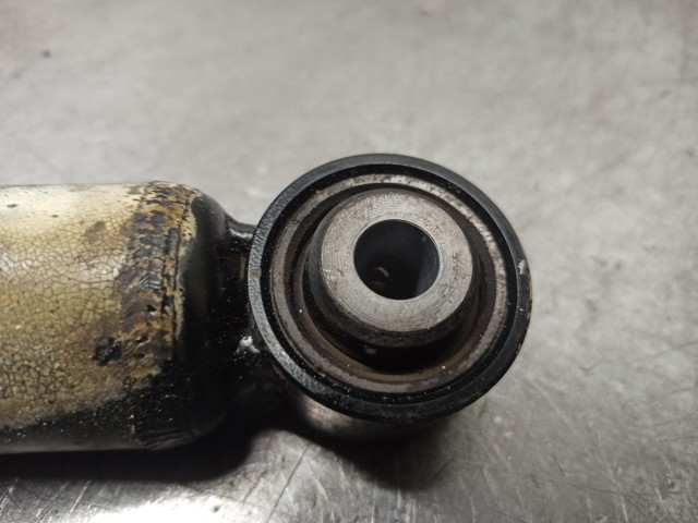 OPEL 39056534 Амортизатор задний в наличии Житомир