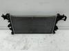 Radiador de esfriamento de motor 39109109 OPEL