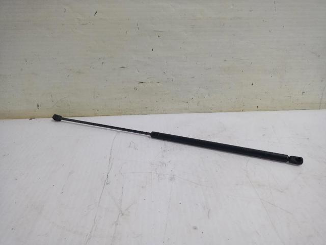 Amortecedor da capota 3B0823359C VAG