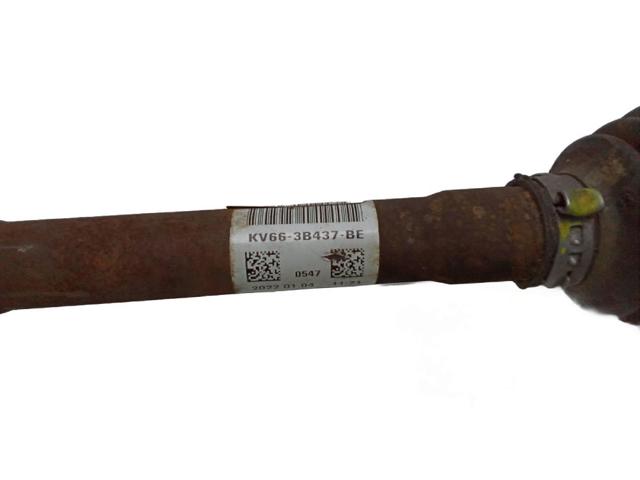 3B437 FORD купить в Черновцы