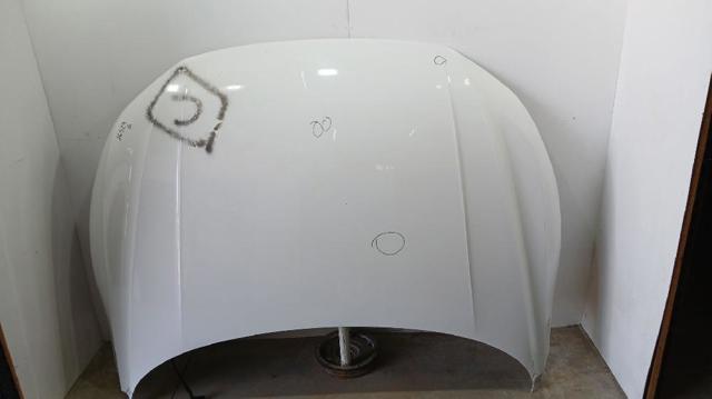 VAG 3G8823031C Капот в наличии Житомир