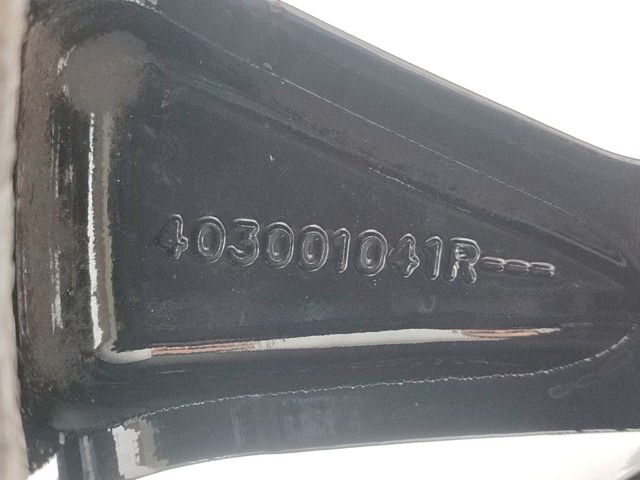 RENAULT 403001041R в наличии Тернополь