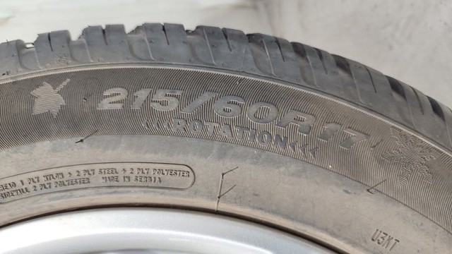 RENAULT 403002509R в наличии Запорожье
