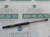 Amortecedor da capota 41612990344 BMW