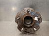 Cubo traseiro 4245005081 TOYOTA