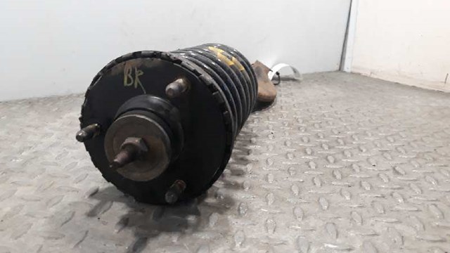 4431008C00 Амортизатор передний купить Ровно