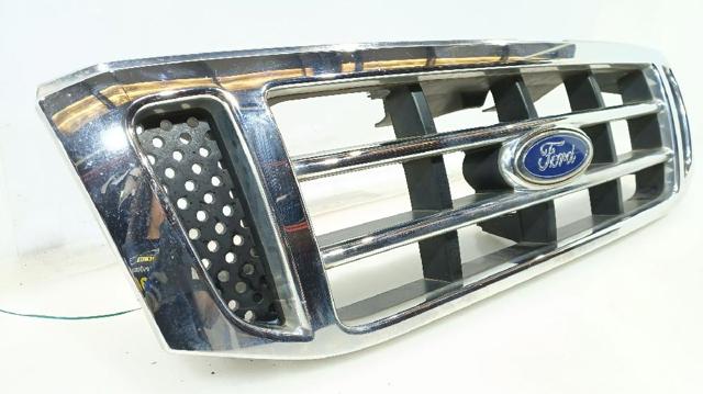 FORD 4444762 Решетка радиатора в наличии Кривой Рог