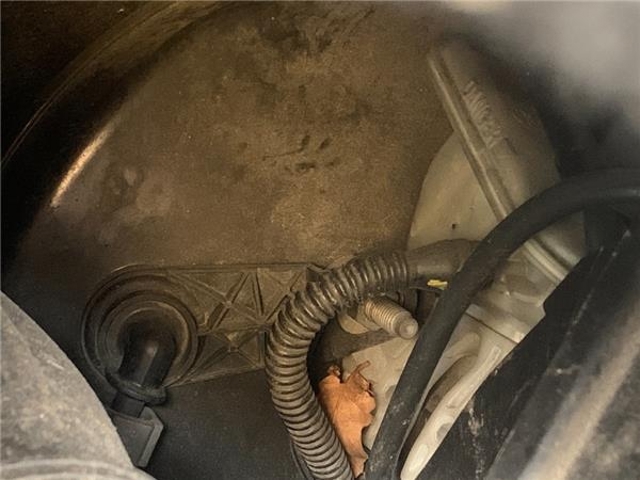 Reforçador dos freios a vácuo 4535AC PEUGEOT