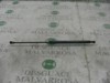 Amortecedor de tampa de porta-malas (de 3ª/5ª porta traseira) 46827091 FIAT