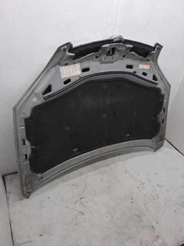 OPEL 4811636 Капот в наличии Украина