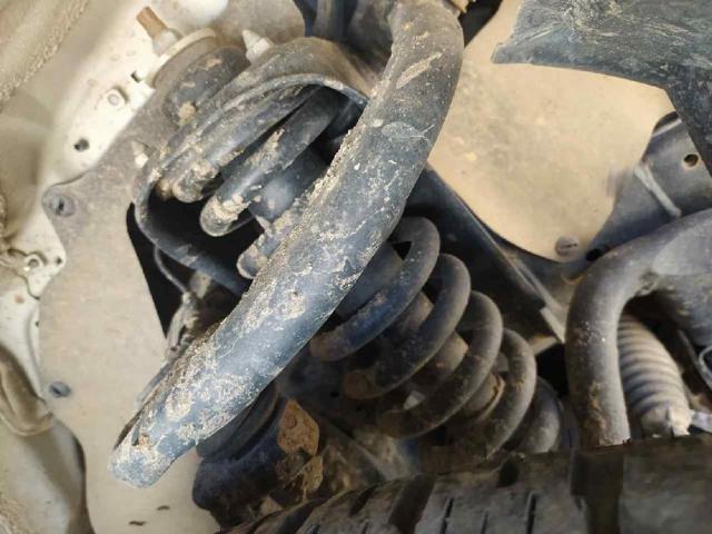 485108Z207 TOYOTA Амортизатор передний купить в Хмельницкий