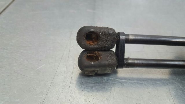4854717 GM Амортизатор капота купить в Киев
