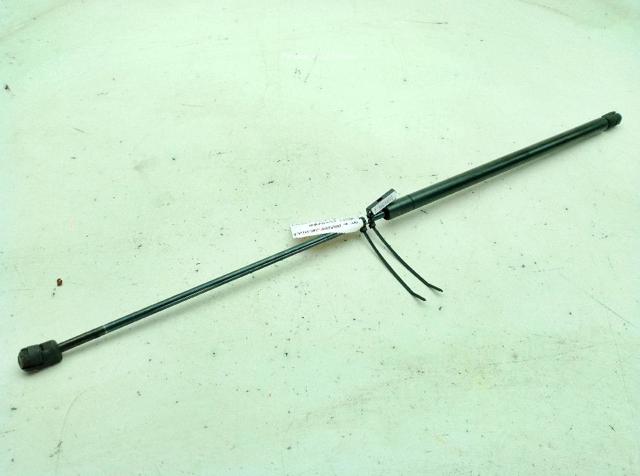 Amortecedor da capota 4B0823359C VAG