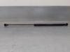 Amortecedor de tampa de porta-malas (de 3ª/5ª porta traseira) Audi A6 4G2, 4GC