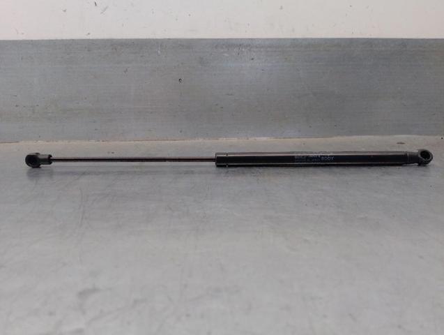 Amortecedor de tampa de porta-malas (de 3ª/5ª porta traseira) Audi A6 4G2, 4GC
