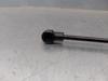 Amortecedor de tampa de porta-malas (de 3ª/5ª porta traseira) Audi A6 4G2, 4GC