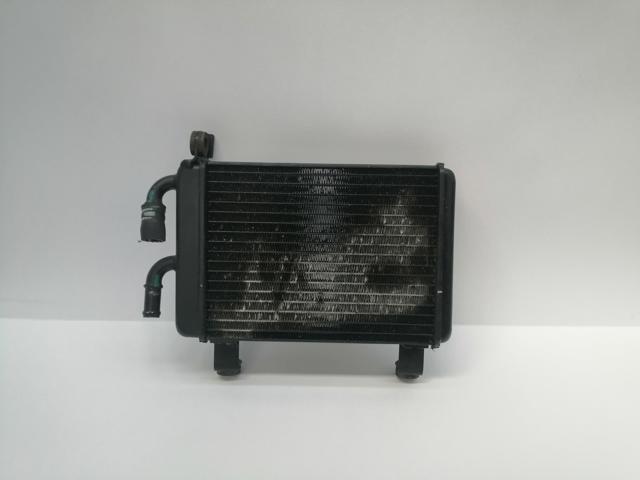 Radiador direito de esfriamento de motor 4L0121212 VAG/Audi