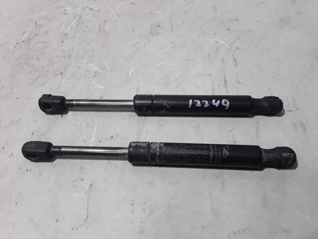 50508010 FIAT Амортизатор багажника купить в Николаев