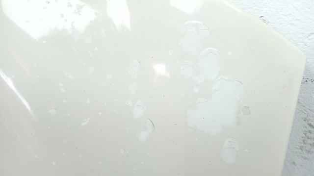 FIAT 50508702 Капот в наличии Киев