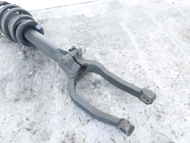 50515149 FIAT Амортизатор передний купить в Хмельницкий
