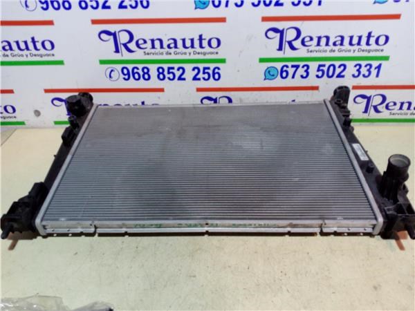 Radiador de esfriamento de motor 50526636 Fiat/Alfa/Lancia